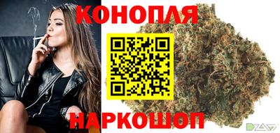 твердый Гусев